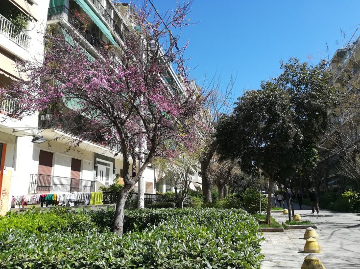 odos_iakovidou