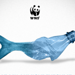 WWF: Η Μεσόγειος εκπέμπει SOS – Κινδυνεύει να μετατραπεί σε μια «πλαστική θάλασσα»