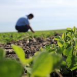 Επιστροφή στη γη