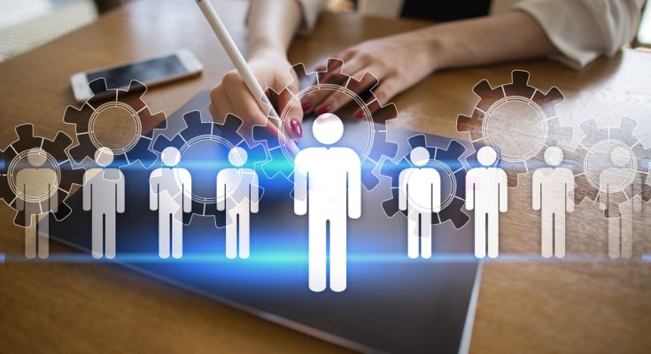 πρόγραμμα απασχόλησης