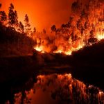 Τι έμαθε η Πορτογαλία από τις πυρκαγιές