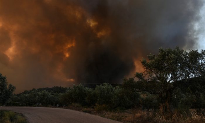 ΕΥΒΟΙΑ ΚΟΝΤΟΔΕΣΠΟΤΙ ΠΥΡΚΑΓΙΑ