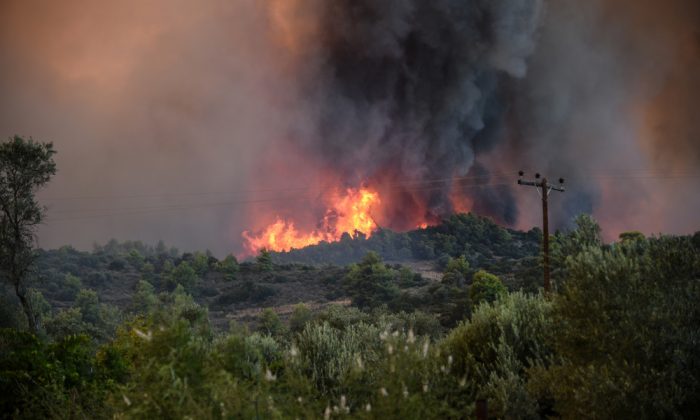 ΕΥΒΟΙΑ ΚΟΝΤΟΔΕΣΠΟΤΙ ΠΥΡΚΑΓΙΑ