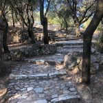 Σύλληψη για εμπρησμούς στου Φιλοπάππου