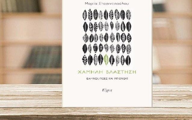 Stasinopoulou-xamili-vlastisi