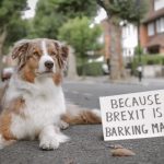 Wooferendum: Οι σκύλοι της Βρετανίας διαδηλώνουν κατά του Brexit