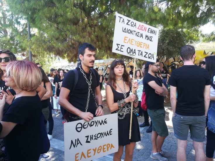 poria_gia_zoa