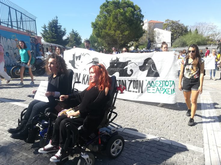 poria_gia_zoa