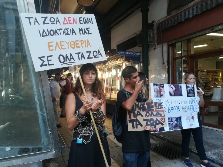 poria_gia_zoa