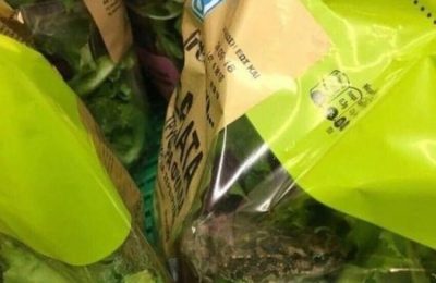 Ο βάτραχος, η ΑΒ Βασιλόπουλος και ο χαμός στα social media