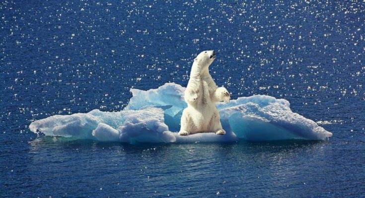climate-change