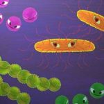 Τραγικός απολογισμός: 1.627 θάνατοι από πολυανθεκτικά μικρόβια