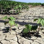 Η κλιματική αλλαγή απειλεί σοβαρά την υγεία- Έκθεση από 27 Ακαδημίες της Ευρώπης