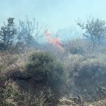 Πυρκαγιά στην περιοχή Μόρνου στο δήμο Φυλής