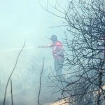 Εύβοια: Ενισχύθηκαν οι δυνάμεις της Πυροσβεστικής για τη μάχη με τις φλόγες – Μία σύλληψη