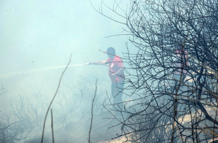 ΕΥΒΟΙΑ ΠΥΡΚΑΓΙΑ