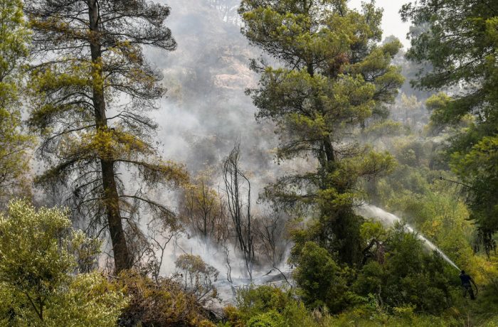 ΣΕ ΠΛΗΡΗ ΕΞΕΛΙΞΗ Η ΠΥΡΚΑΓΙΑ ΣΤΗΝ ΕΥΒΟΙΑ ΠΟΥ ΚΑΙΕΙ ΔΑΣΟΣ NATURA