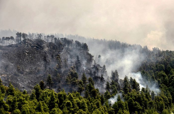 ΣΕ ΠΛΗΡΗ ΕΞΕΛΙΞΗ Η ΠΥΡΚΑΓΙΑ ΣΤΗΝ ΕΥΒΟΙΑ ΠΟΥ ΚΑΙΕΙ ΔΑΣΟΣ NATURA