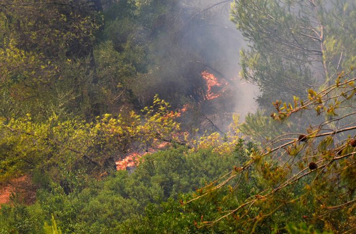 ΣΕ ΠΛΗΡΗ ΕΞΕΛΙΞΗ Η ΠΥΡΚΑΓΙΑ ΣΤΗΝ ΕΥΒΟΙΑ ΠΟΥ ΚΑΙΕΙ ΔΑΣΟΣ NATURA