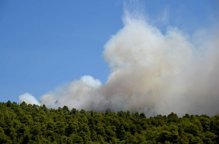 ΣΕ ΠΛΗΡΗ ΕΞΕΛΙΞΗ Η ΠΥΡΚΑΓΙΑ ΣΤΗΝ ΕΥΒΟΙΑ ΠΟΥ ΚΑΙΕΙ ΔΑΣΟΣ NATURA