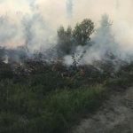 meteo: Εξασθενούν προσωρινά οι βοριάδες – Παραμένει υψηλός κατά τόπους ο κίνδυνος πυρκαγιών