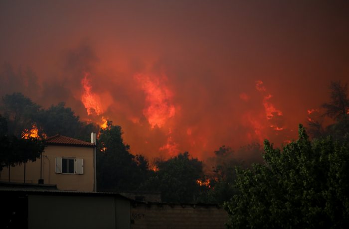 ΦΩΤΙΑ ΒΟΡΕΙΑ ΤΩΝ ΨΑΧΝΩΝ ΣΤΗΝ ΕΥΒΟΙΑ ΚΑΙΕΙ ΠΕΥΚΟΔΑΣΟΣ NATURA