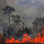 Πυρκαγιές στον Αμαζόνιο: Τα μέτωπα της φωτιάς συνεχίζουν να αυξάνονται και να επεκτείνονται