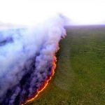 Συγκέντρωση διαμαρτυρίας για την διάσωση του Αμαζονίου στο κέντρο της Αθήνας