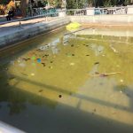 Υγειονομική βόμβα η πλατεία Αγ. Θωμά στο Γουδή