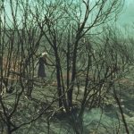 Θεσσαλονίκη: Τα βραβεία του 60ου Φεστιβαλ Κινηματογράφου