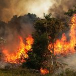 Βραζιλία: Ο πρόεδρος Μπολσονάρου κατηγορεί τον ηθοποιό Λεονάρντο Ντι Κάπριο ότι χρηματοδότησε εμπρησμούς στον Αμαζόνιο