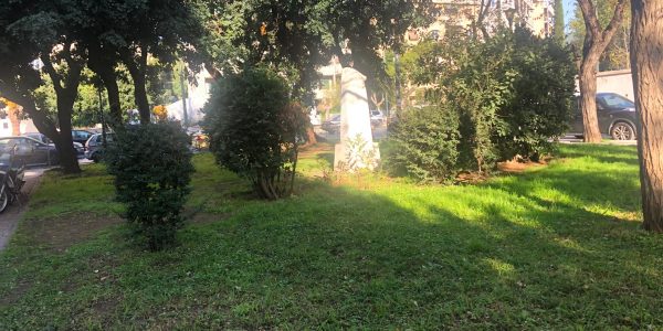 IMG_0732