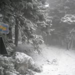 Ζηνοβία: Ψυχρή εισβολή από το Σάββατο