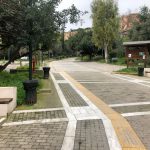 Οκτώ σκυλιά βρέθηκαν νεκρά από φόλες στο Αττικό Άλσος – Πολλά αγνοούνται