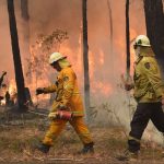 Τελετή στο Σίδνεϊ στη μνήμη των 25 νεκρών από τις πυρκαγιές στη Νέα Νότια Ουαλία