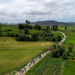 Δρόμος Ολυμπιακής Εκεχειρίας 2020: Πλήθος δράσεων για την Ειρήνη