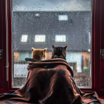 Χειμωνιάτικο το σκηνικό του σημερινού καιρού