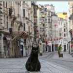 Η πανδημία θα έχει πολλαπλές συνέπειες στα θέματα ασφάλειας της Τουρκίας