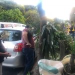 «Ξύπνησε» στους πολίτες το ένστικτο του… αγρότη μετά την πρώτη άρση των απαγορευτικών μέτρων της καραντίνας